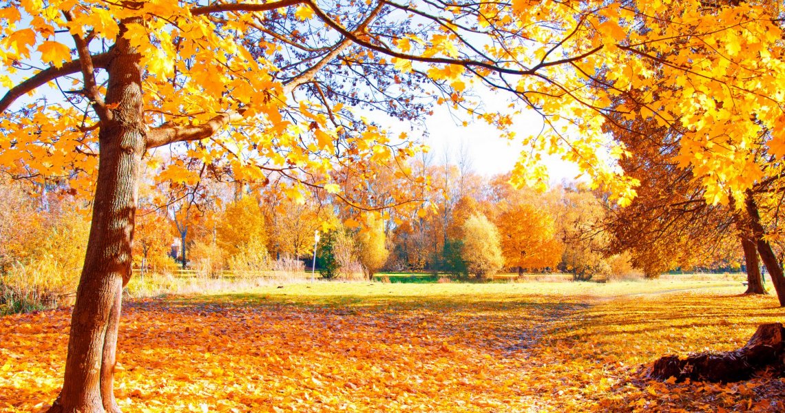 6 spunti su cosa fare in autunno sul Lago di Garda 6 spunti su cosa fare in autunno sul Lago di Garda